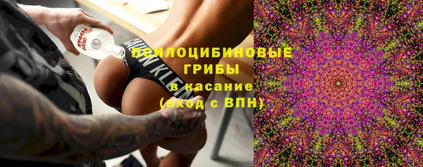 PSILOCYBIN Балабаново