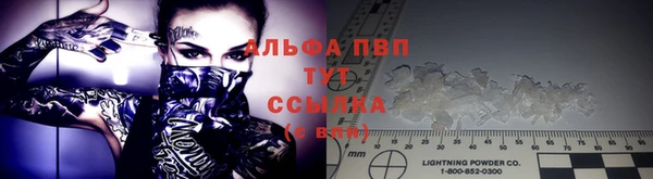 PSILOCYBIN Балабаново