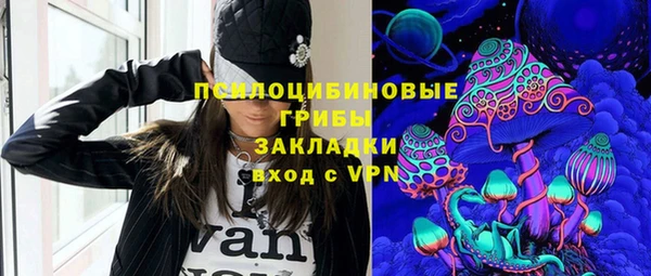 PSILOCYBIN Балабаново