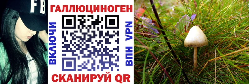наркота  Вуктыл  Псилоцибиновые грибы ЛСД 